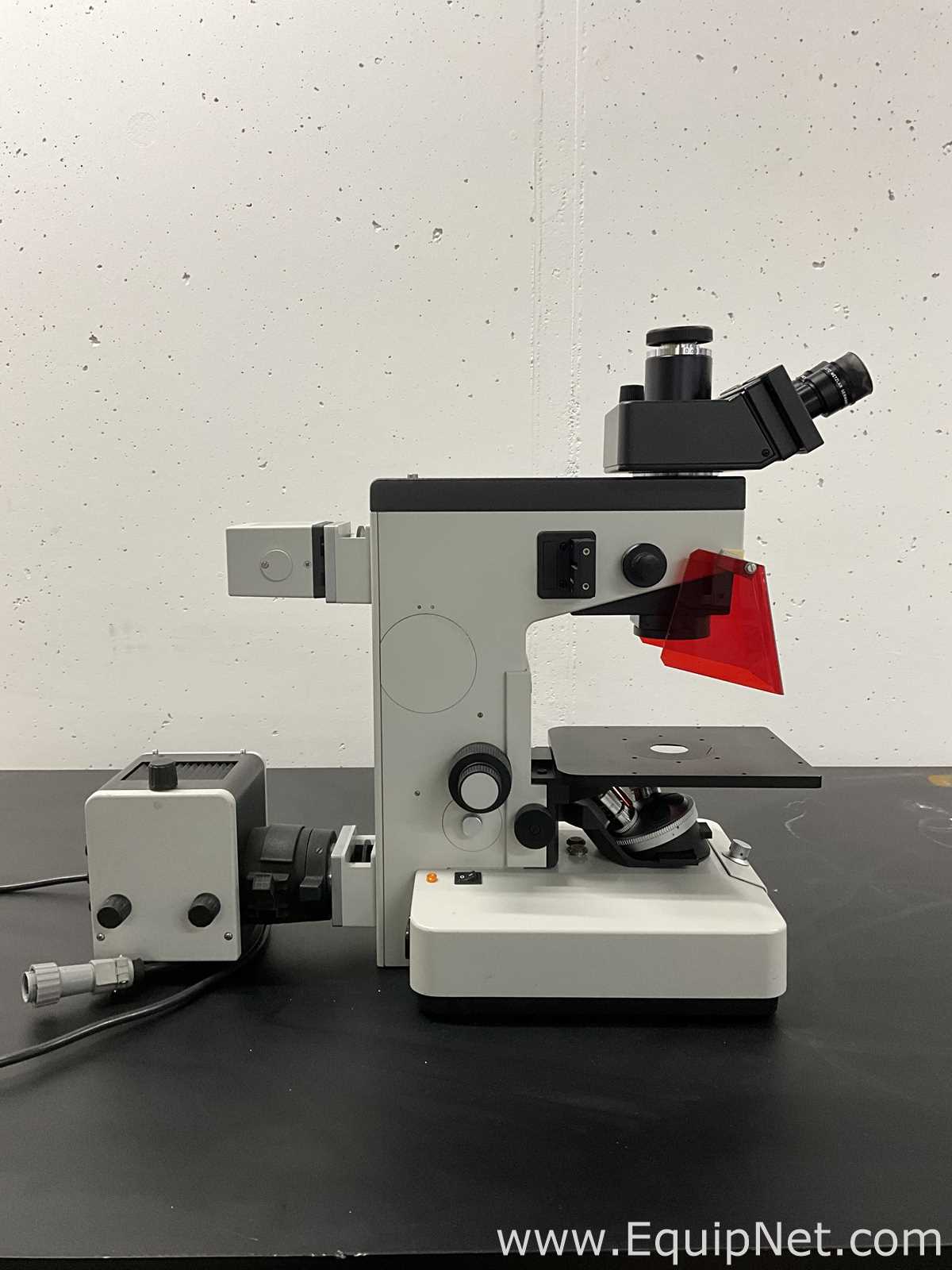 Microscopio Leitz Fluovert FS