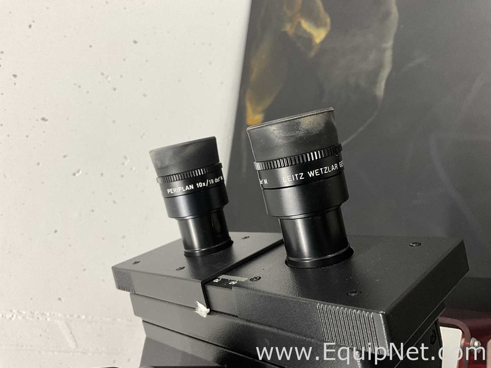 Microscopio Leitz Fluovert FS