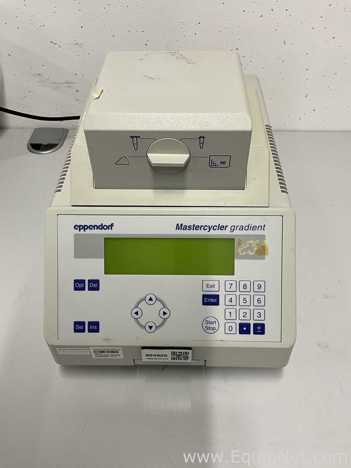 PCR und Thermocycler Eppendorf Mastercycler Gradient