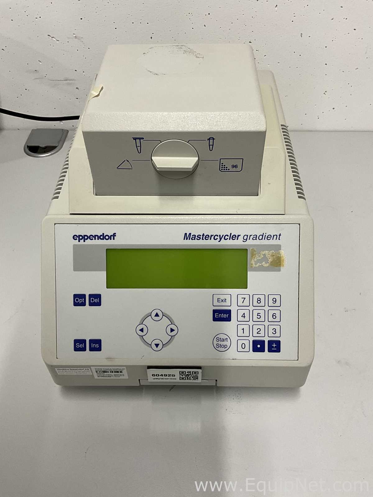 PCR und Thermocycler Eppendorf Mastercycler Gradient