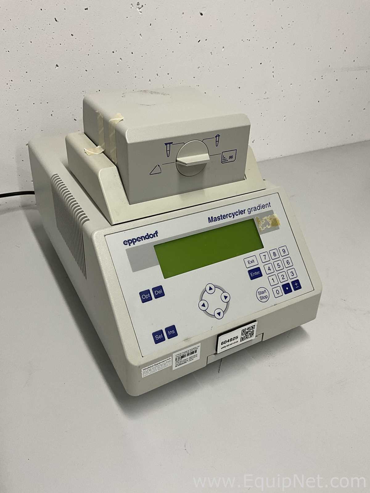 PCR und Thermocycler Eppendorf Mastercycler Gradient