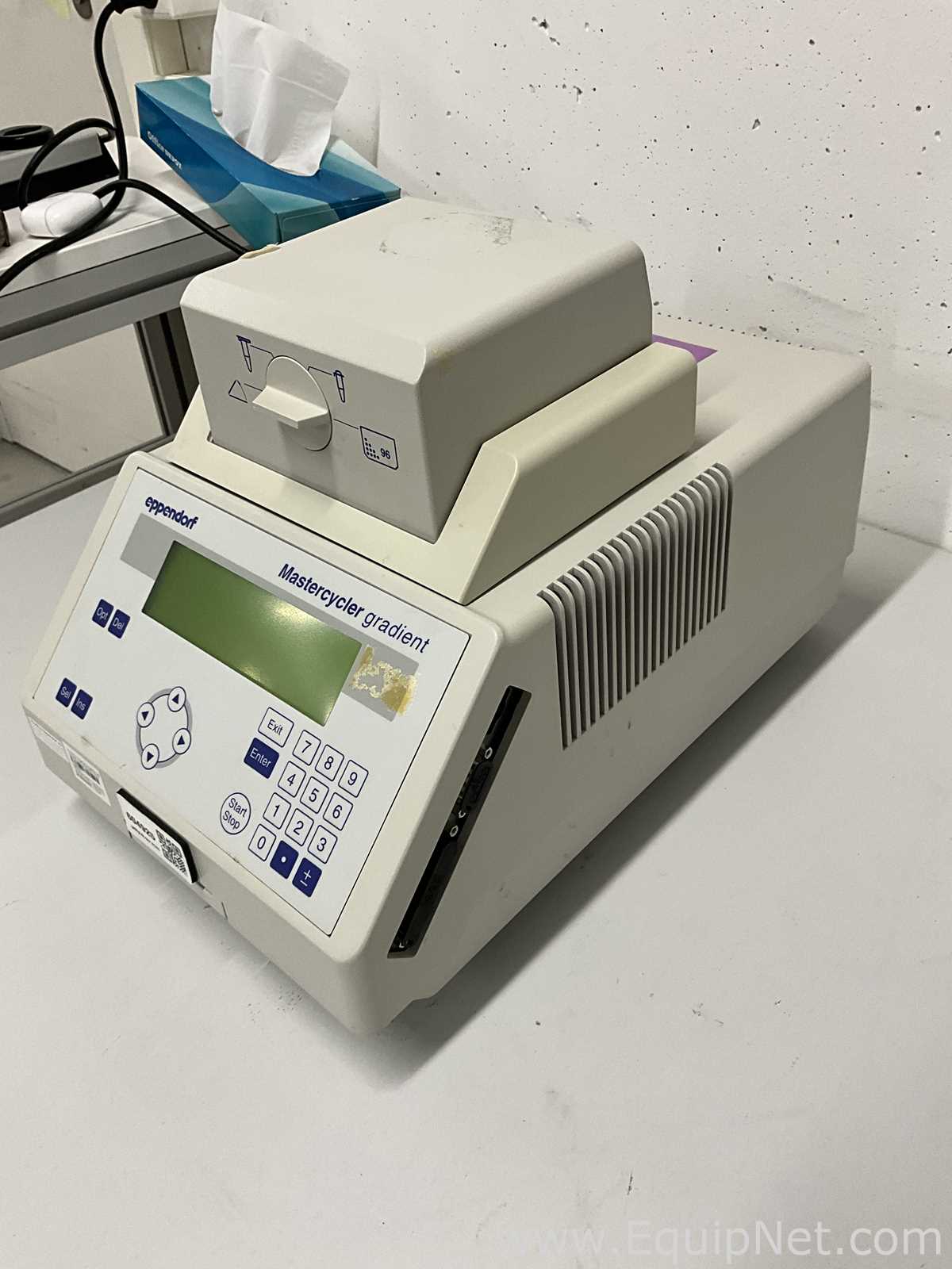 PCR und Thermocycler Eppendorf Mastercycler Gradient