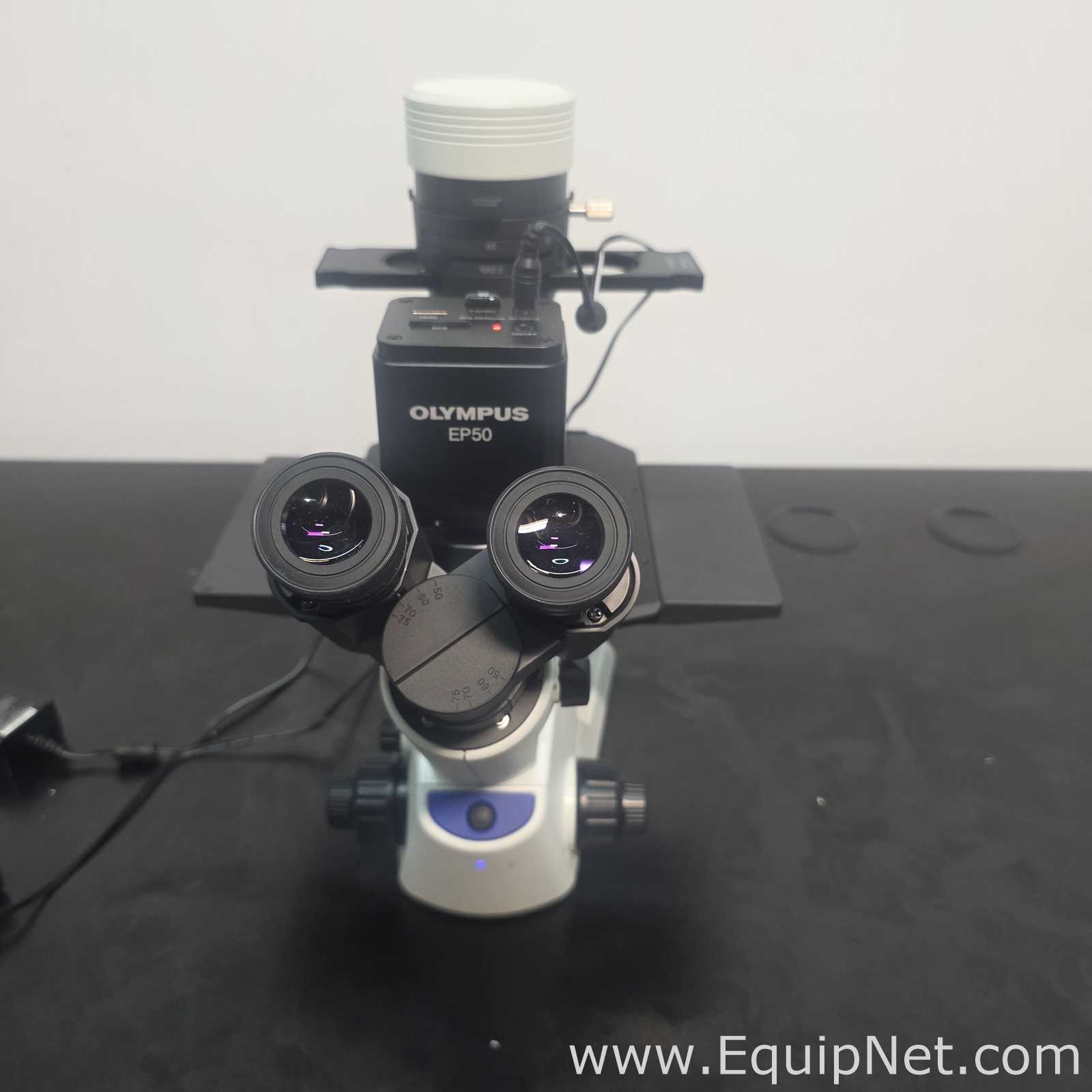 Microscópio Olympus Corporation CKX53SF
