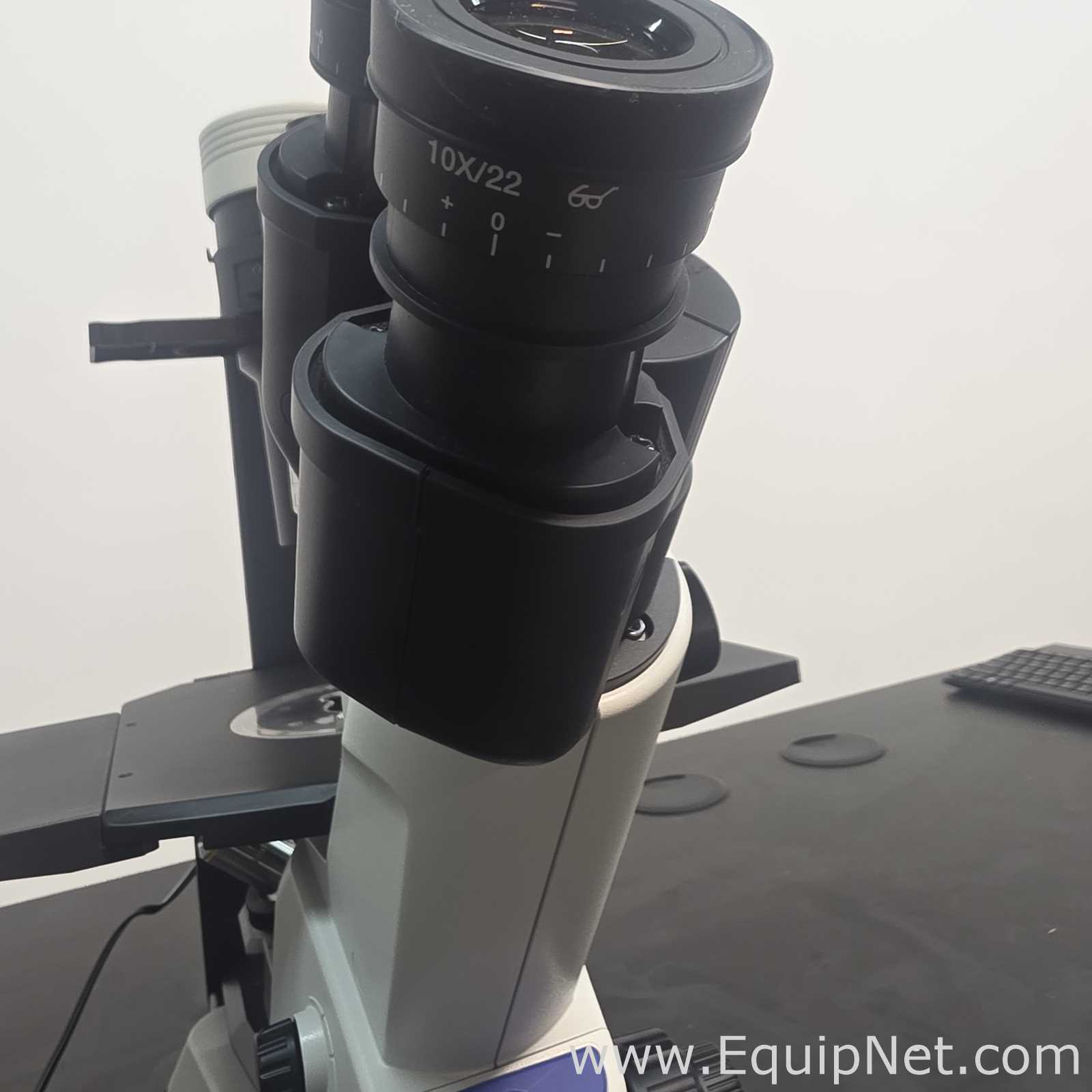 Microscópio Olympus Corporation CKX53SF