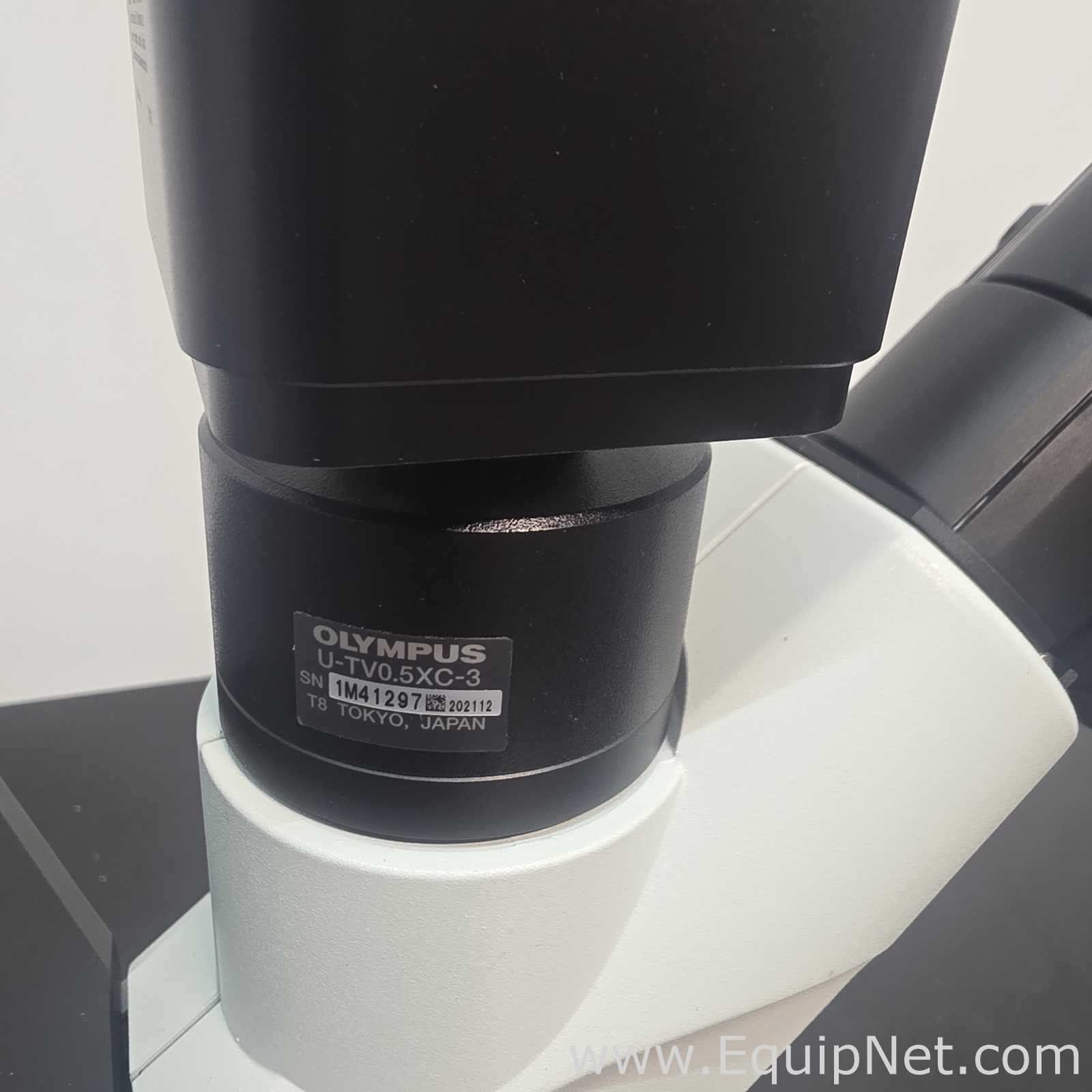 Microscópio Olympus Corporation CKX53SF
