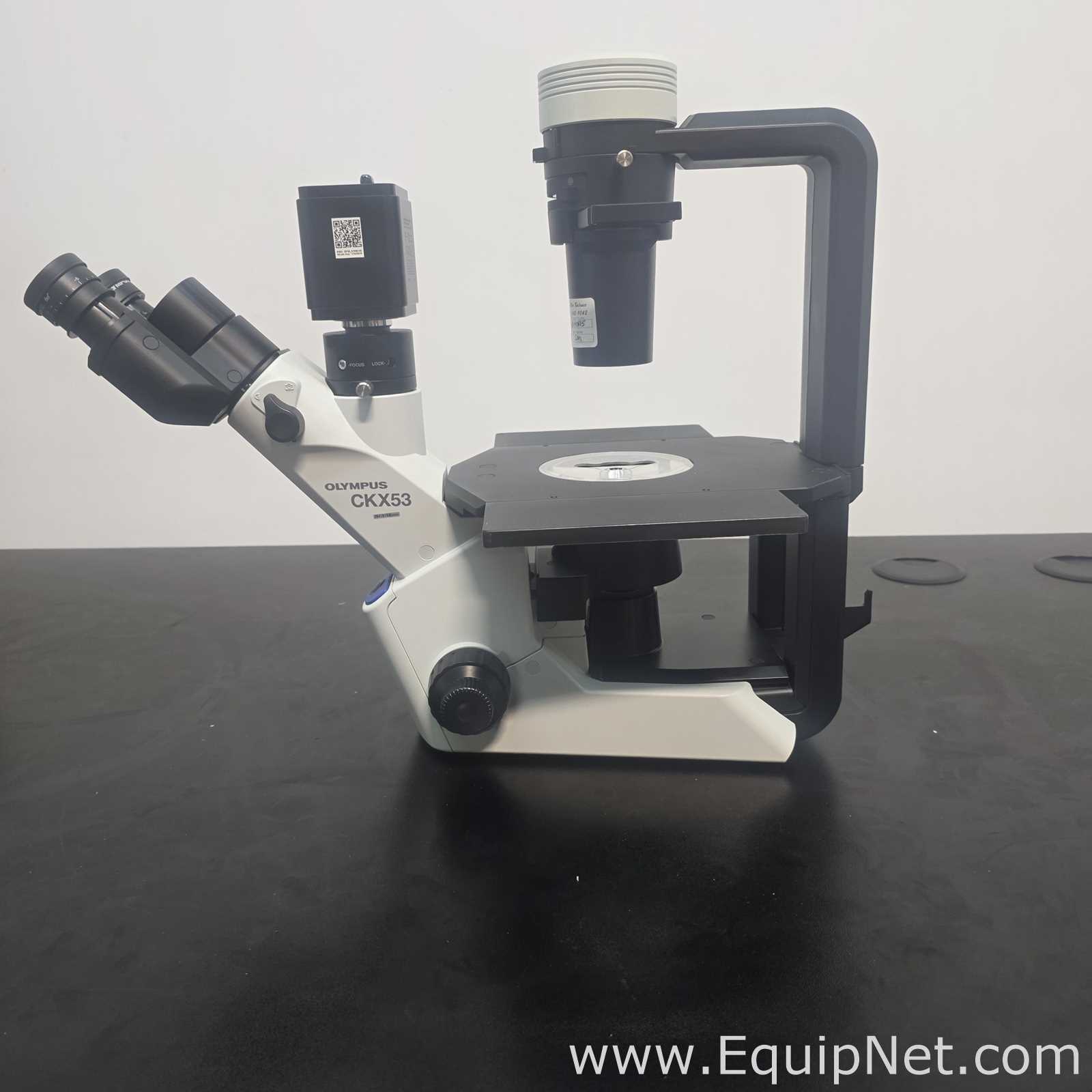Microscópio Olympus Corporation CKX53SF