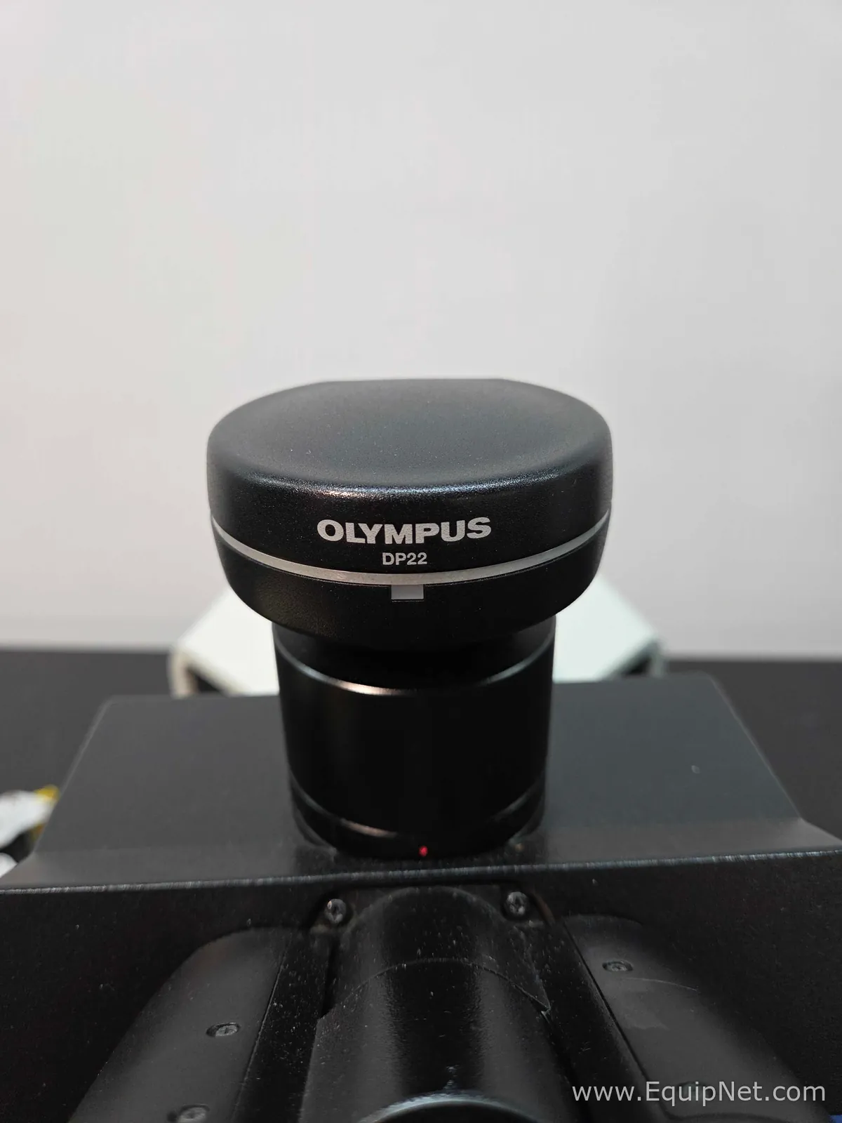 Microscópio Olympus Corporation BX43F