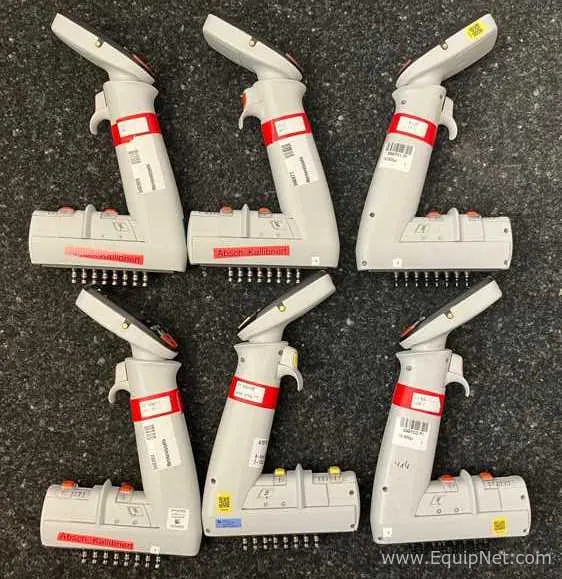 Lote de 6 Pipeteador Thermo Scientific E1-ClipTip