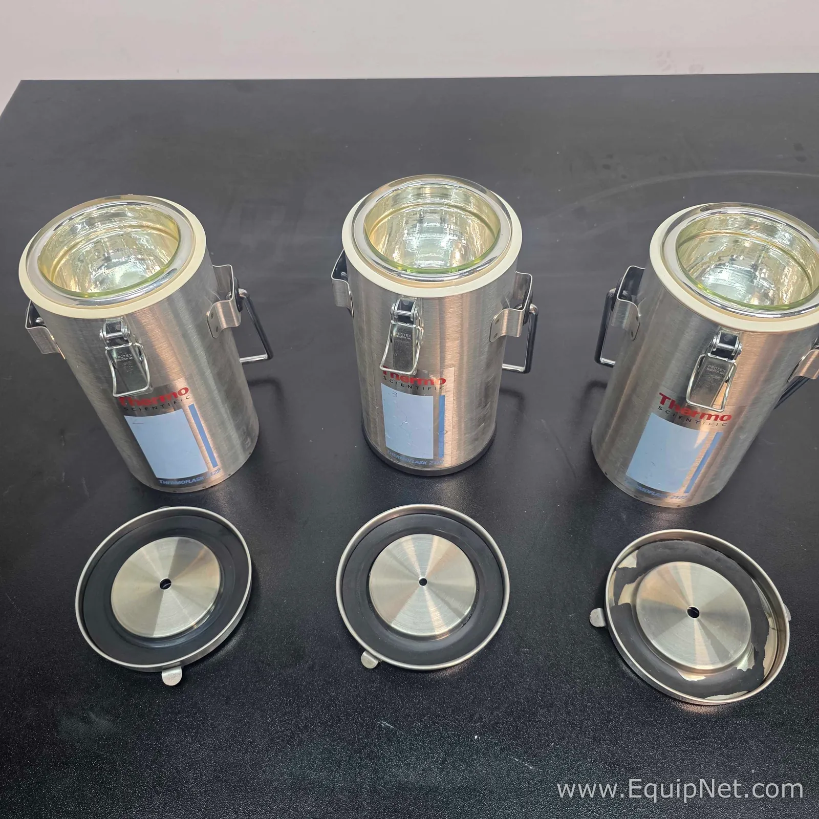 lote de  3 Equipamento de Apoio Criogênico Thermo Scientific ThernoFlask 2122