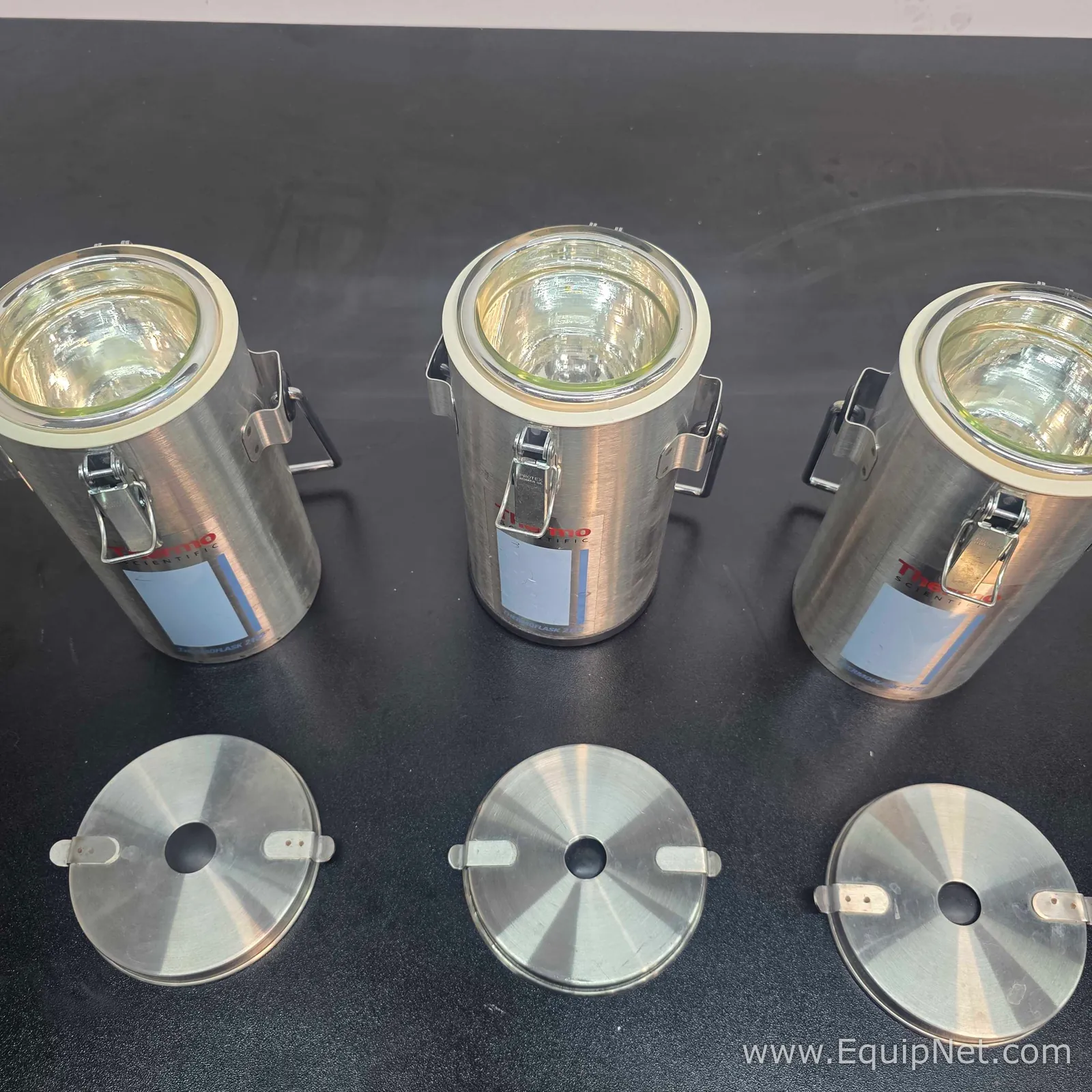 lote de  3 Equipamento de Apoio Criogênico Thermo Scientific ThernoFlask 2122