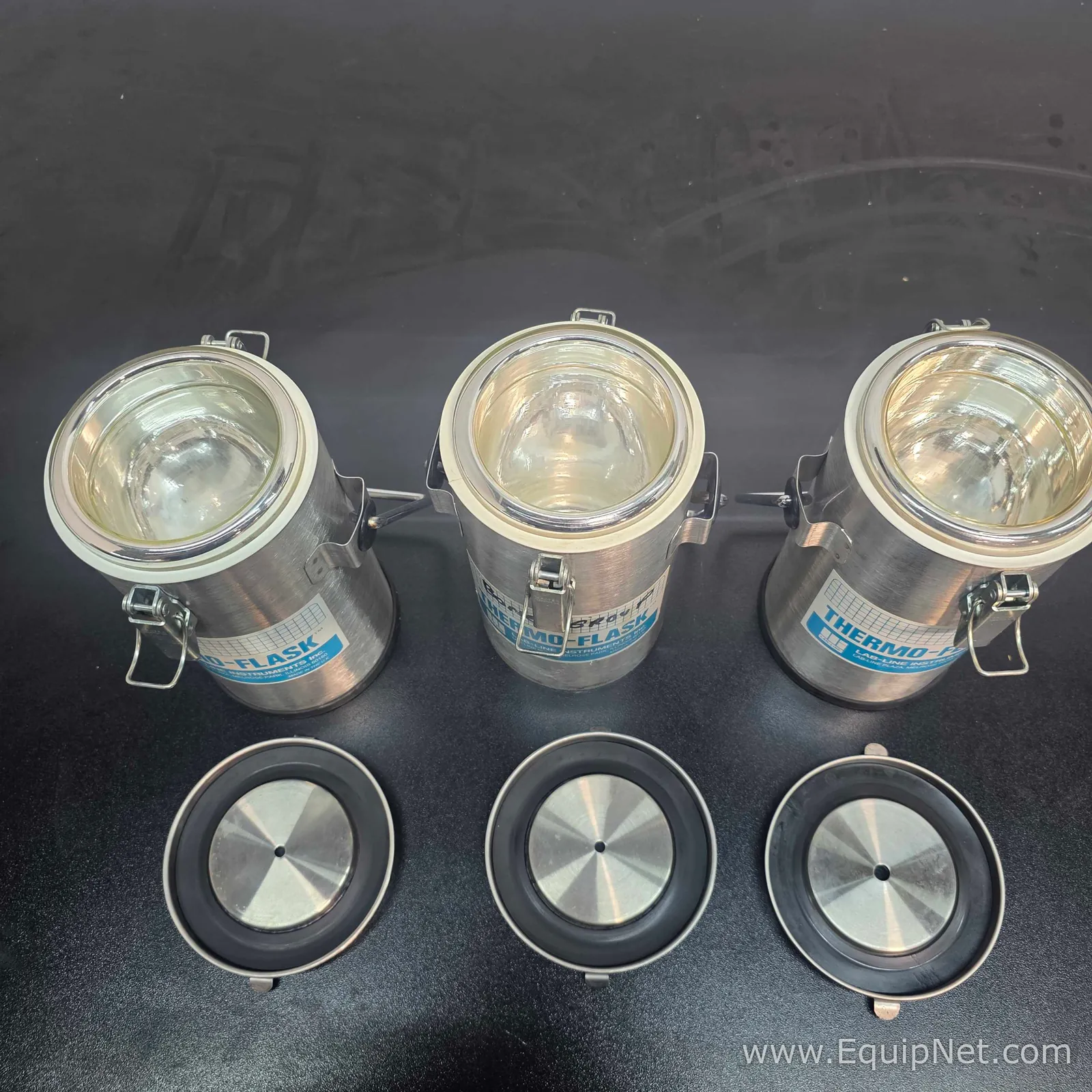 lote de  3 Equipamento de Apoio Criogênico Thermo Scientific ThernoFlask 2122