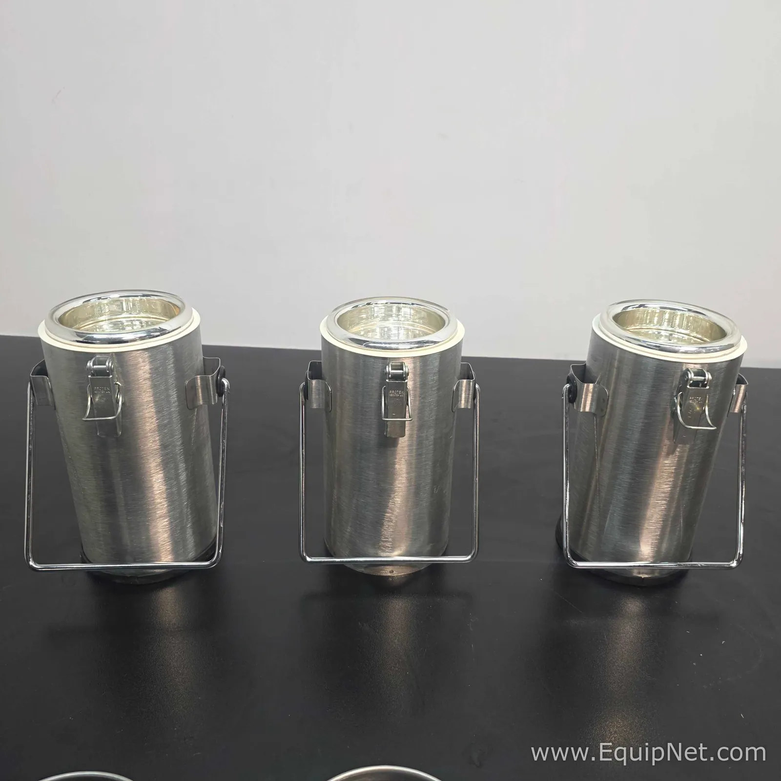 lote de  3 Equipamento de Apoio Criogênico Thermo Scientific ThernoFlask 2122