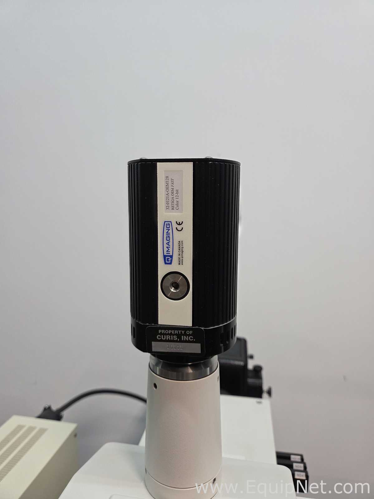 Microscópio Nikon Eclipse E800