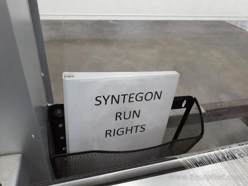 Syntegon Elematic 3001 Case Packer