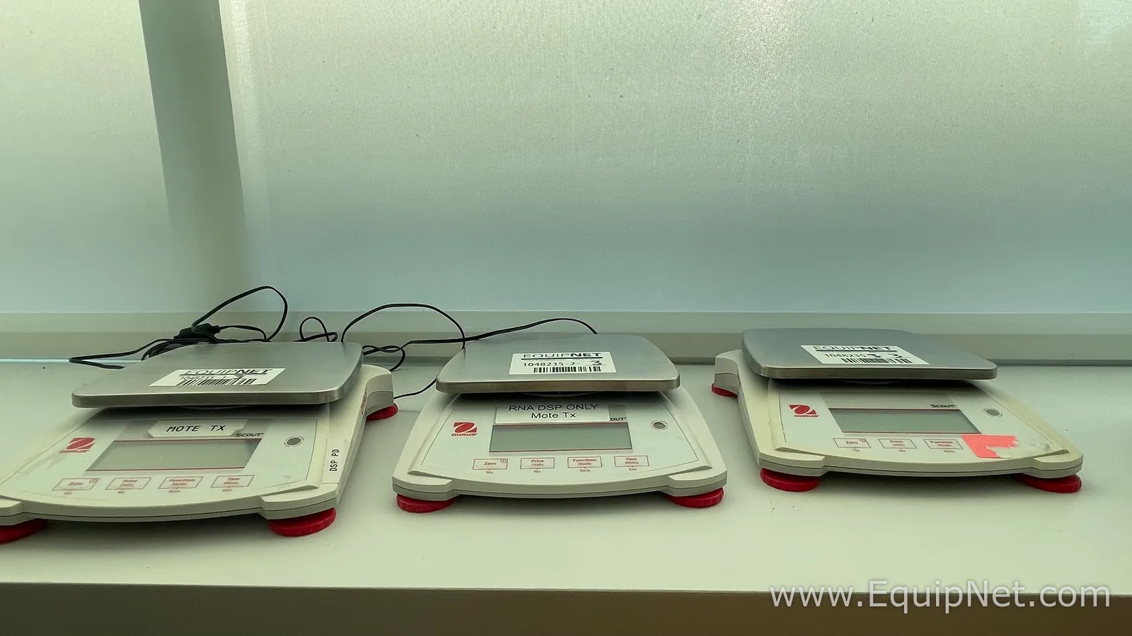 Lot of 3 Ohaus Scout Pro Scales