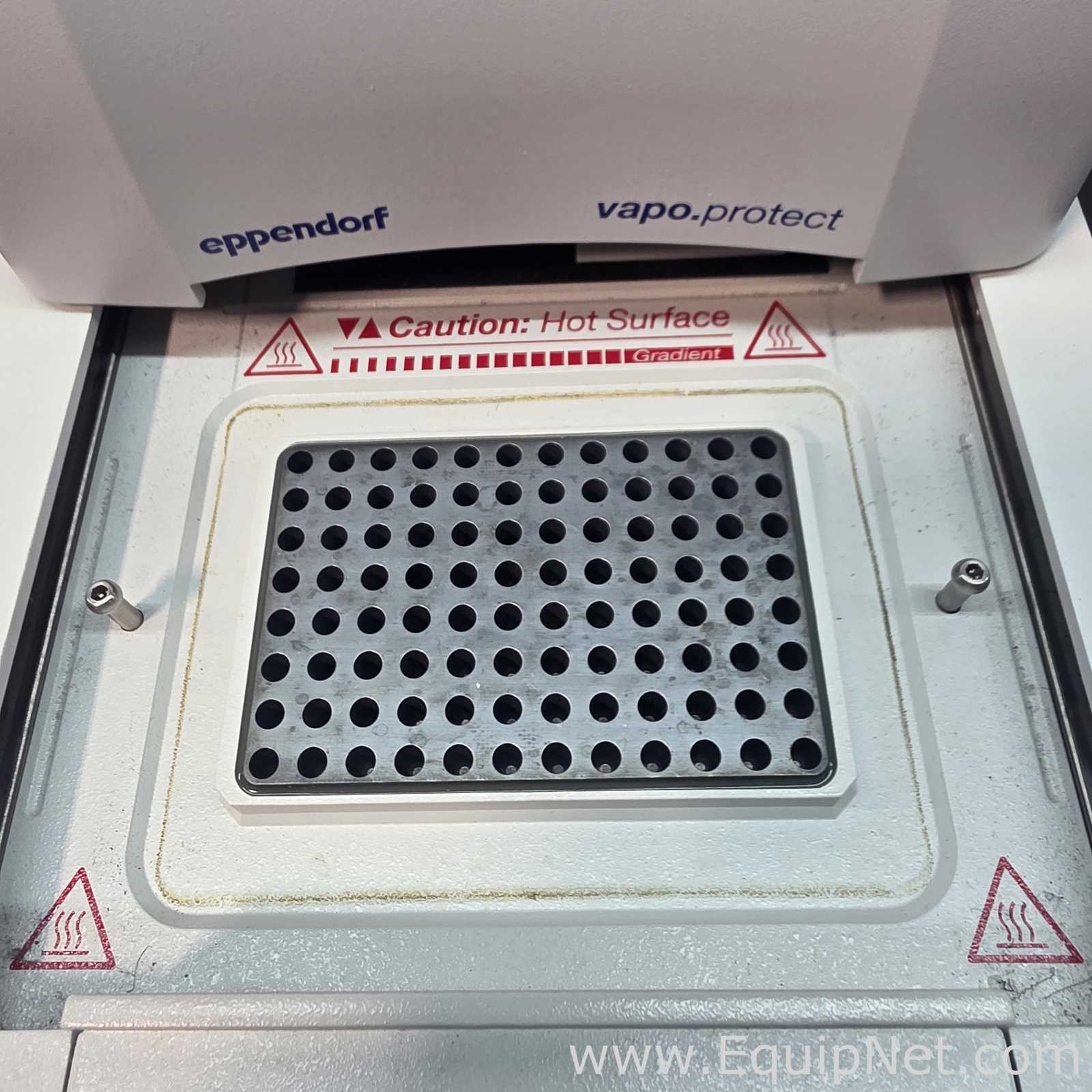 PCR und Thermocycler Eppendorf Mastercycler Pro S