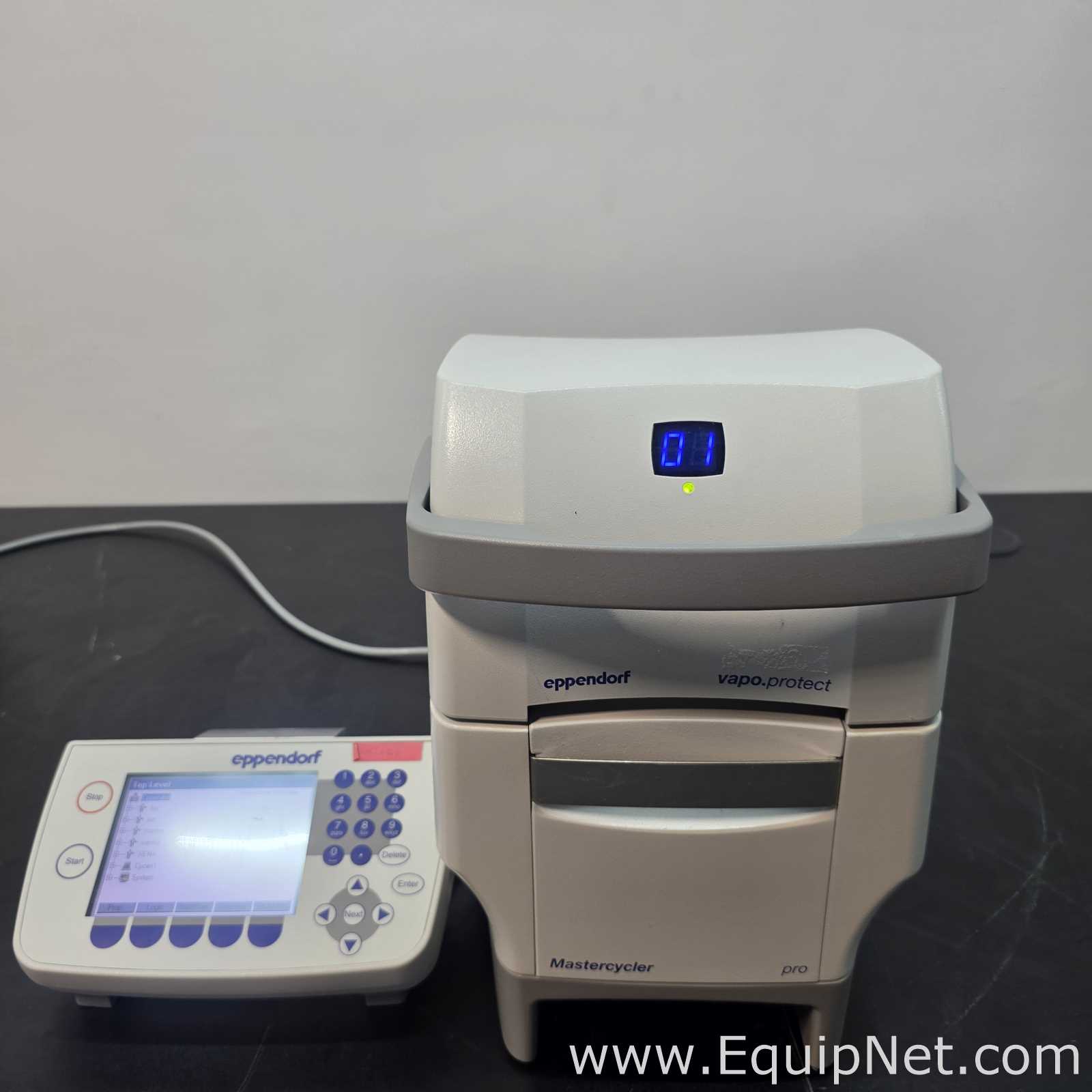 PCR und Thermocycler Eppendorf Mastercycler Pro S