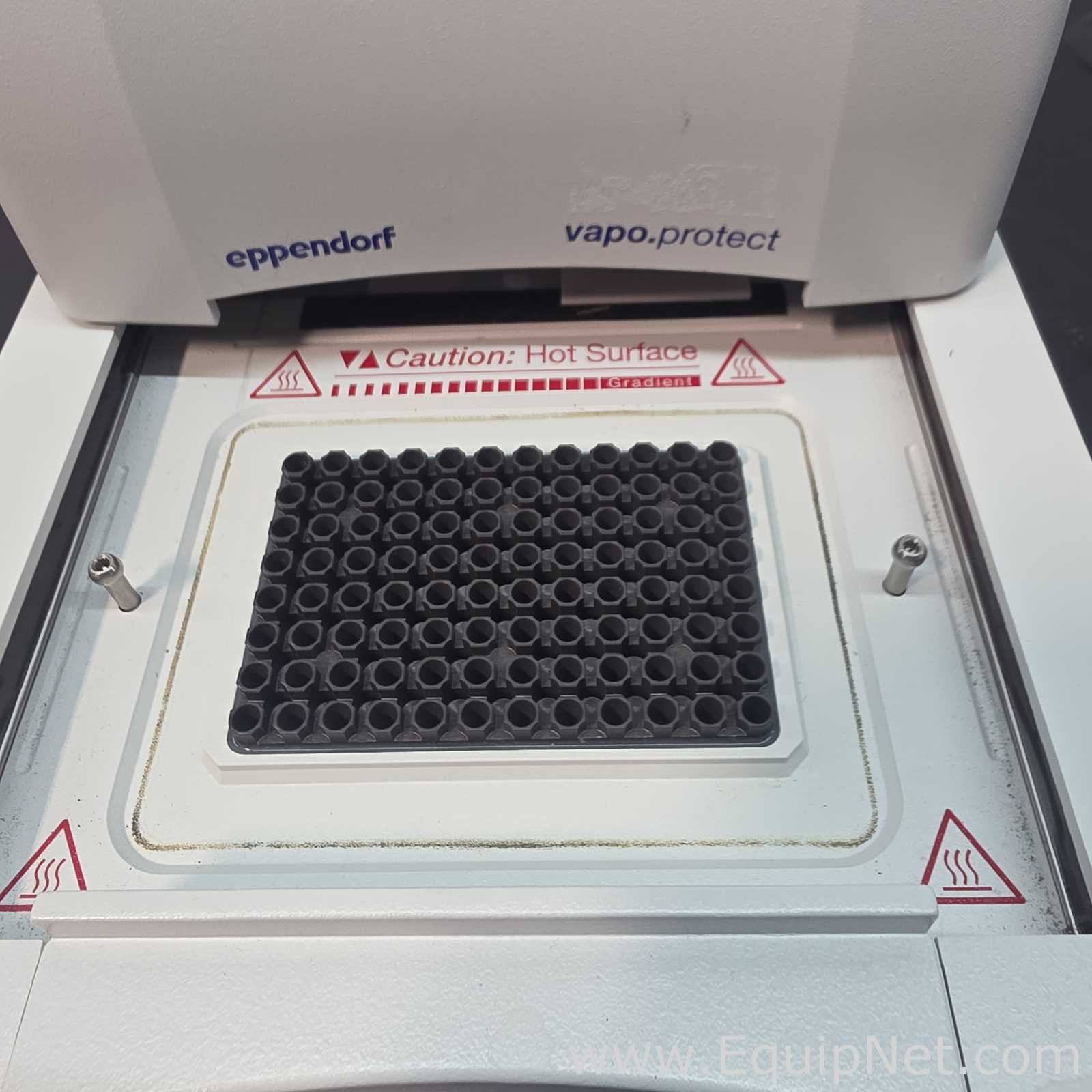 PCR und Thermocycler Eppendorf Mastercycler Pro S