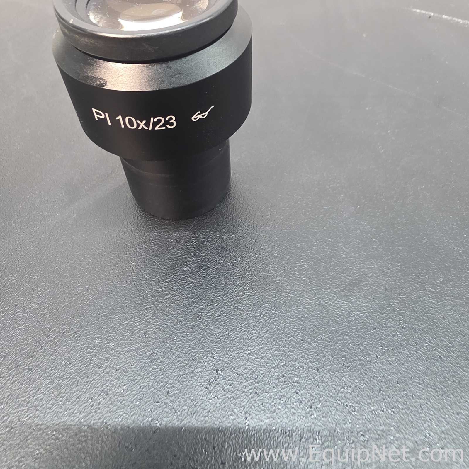 Zeiss SteREO Discovery.V8 w/ SCHOTT KL 300 LED