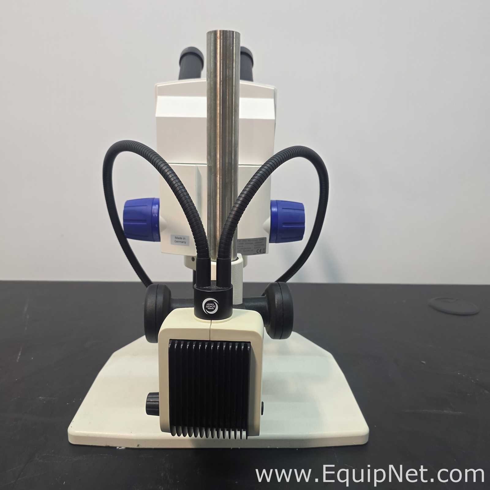 Zeiss SteREO Discovery.V8 w/ SCHOTT KL 300 LED