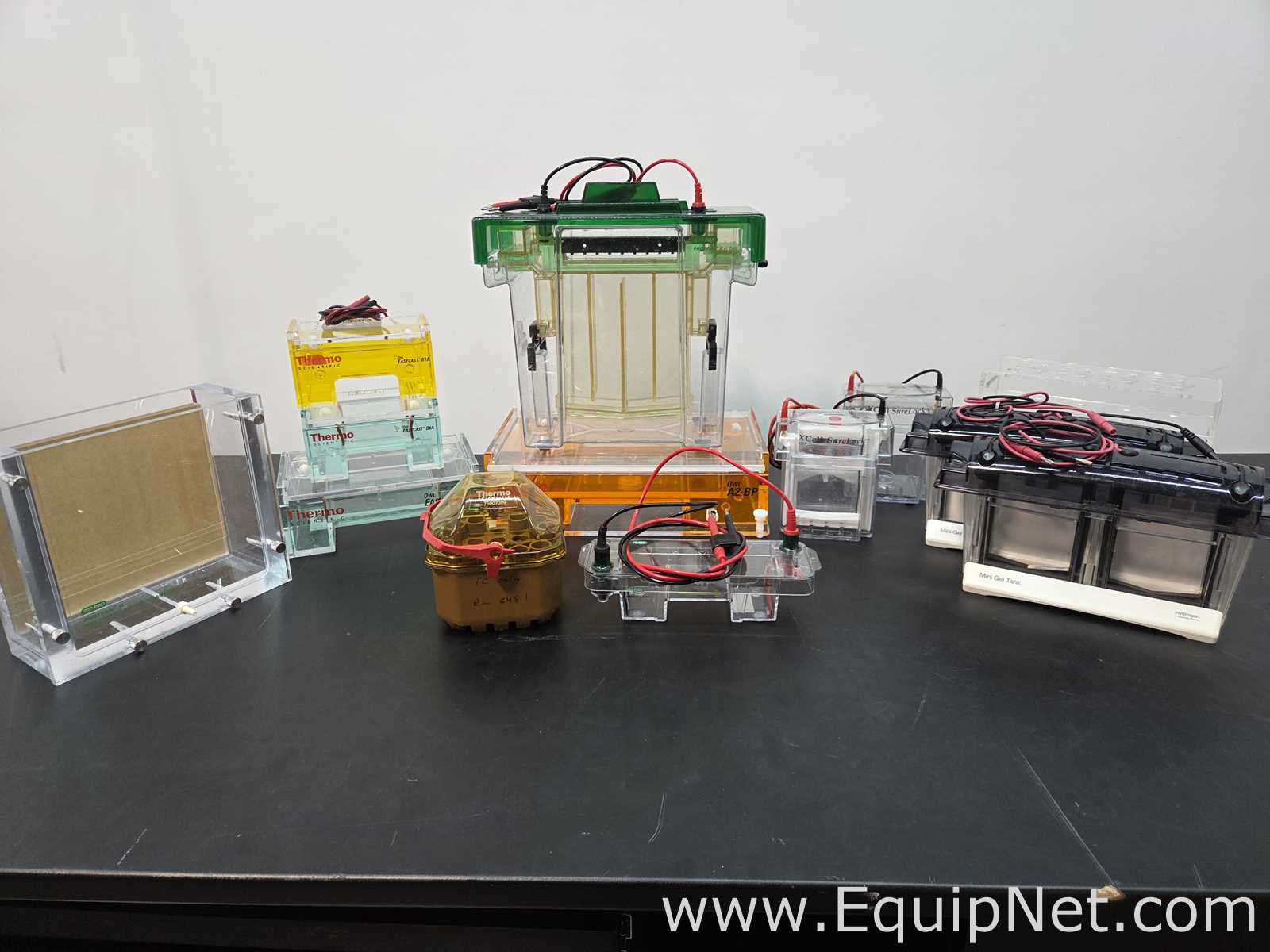 lote de   Sistema de Eletroforese Various 