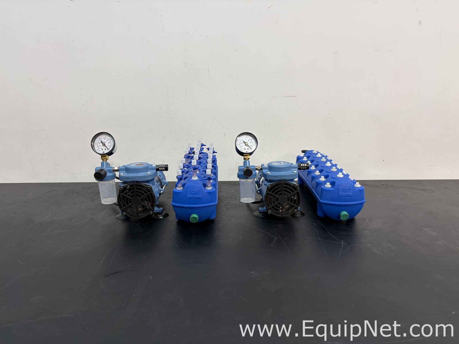 lote de  2 Bomba a Vácuo Fischer Technical Company TLD3000