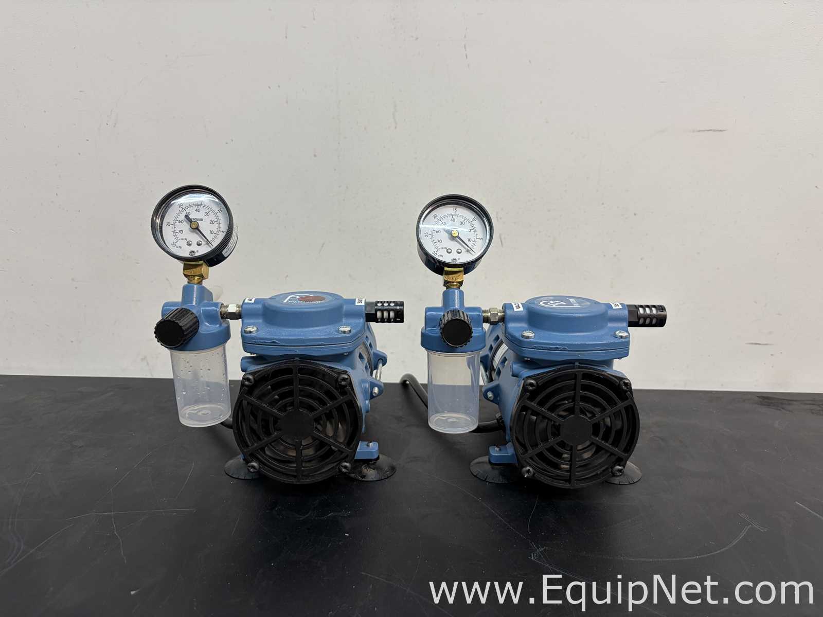 lote de  2 Bomba a Vácuo Fischer Technical Company TLD3000