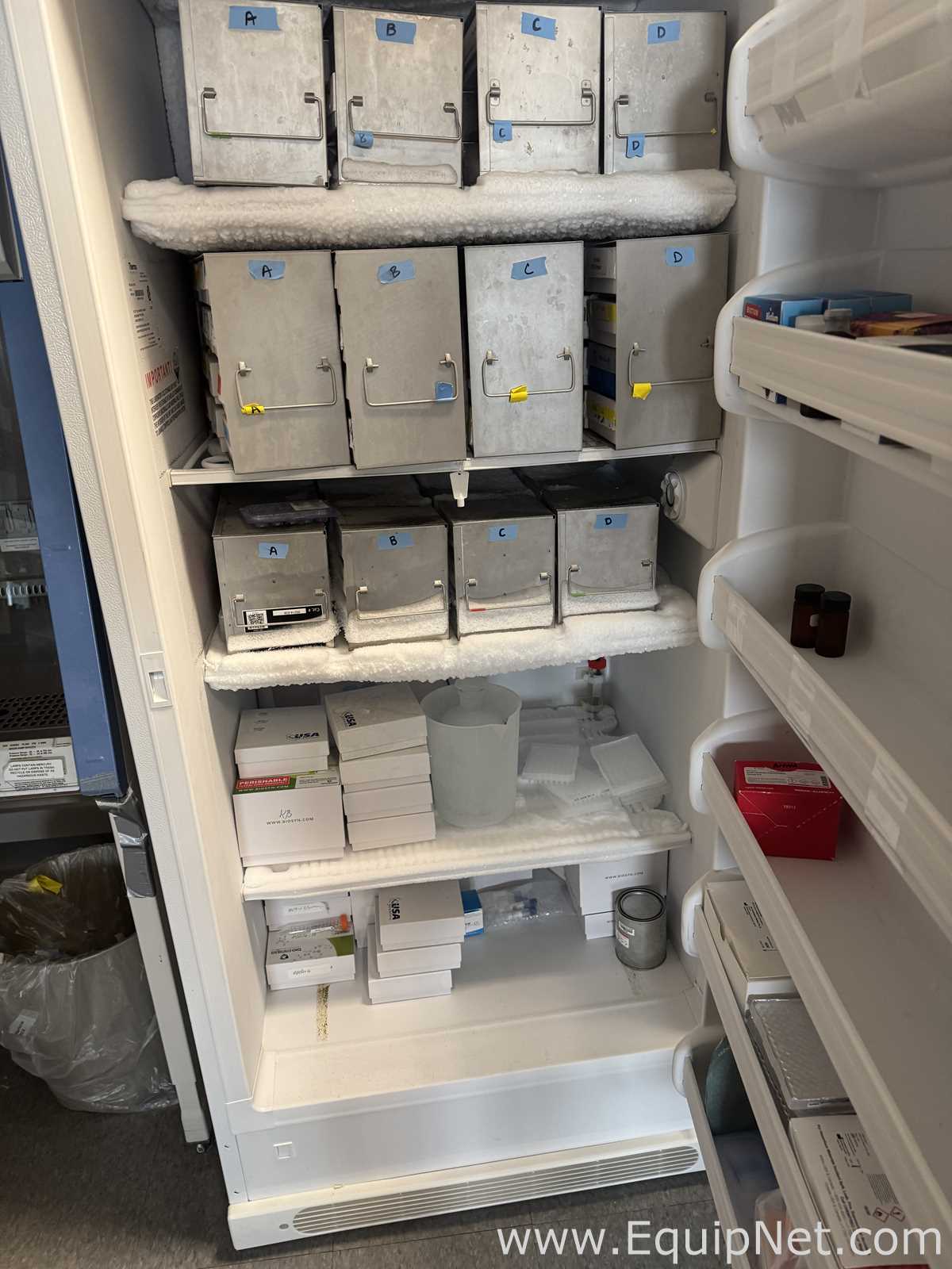 Freezer Thermo Fisher Scientific 3767A