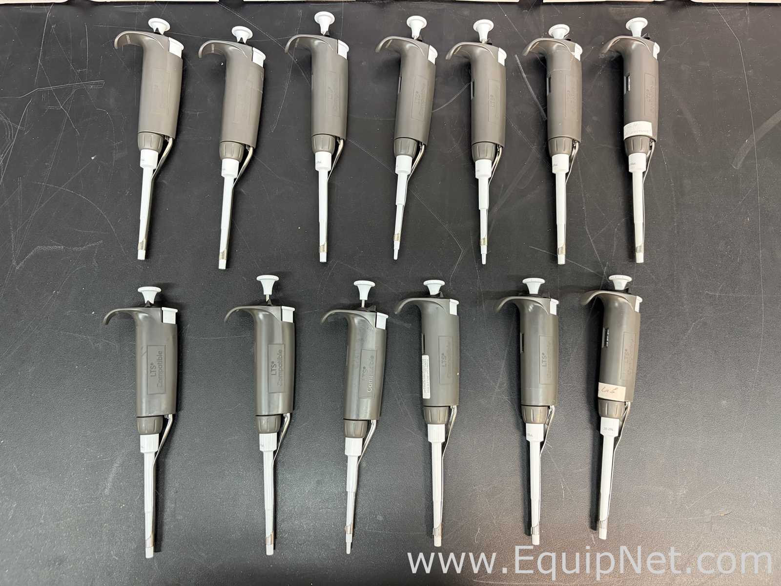 Lote de  Pipeteador VWR Scientific 76335-568 Pipette VWR-2