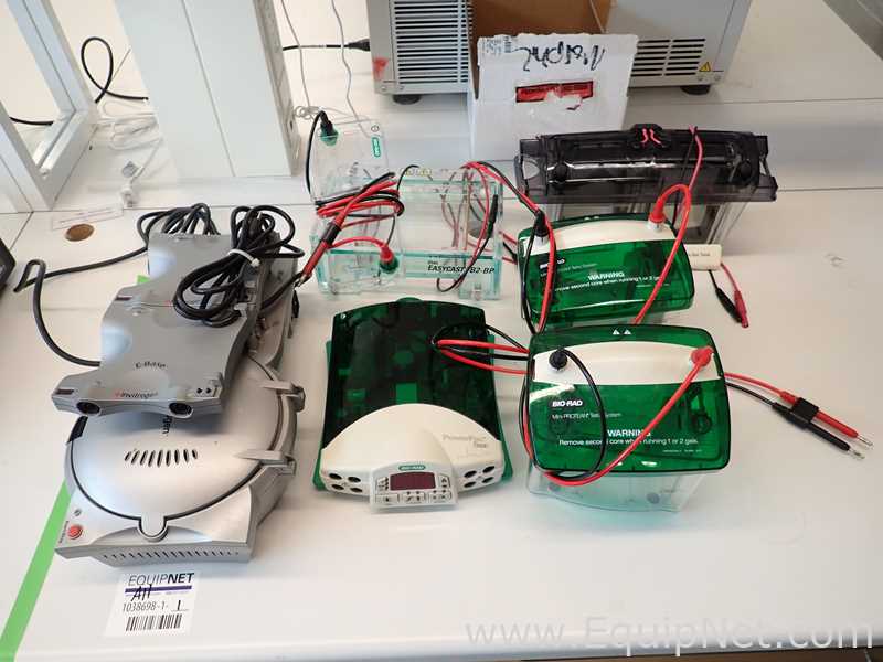 Lote de  Electroforesis Assorted 