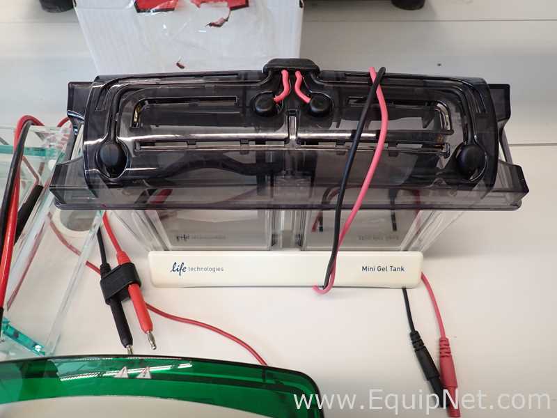 Lote de  Electroforesis Assorted 