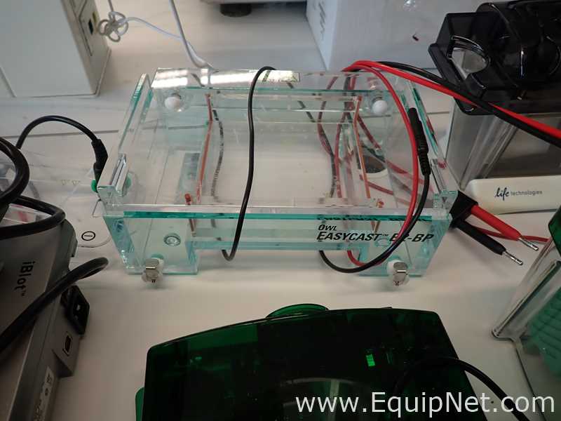 Lote de  Electroforesis Assorted 