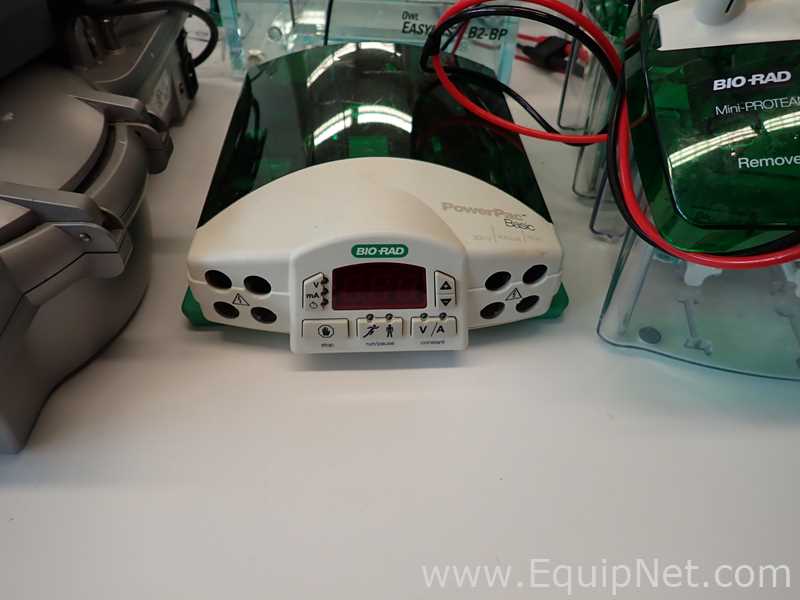 Lote de  Electroforesis Assorted 
