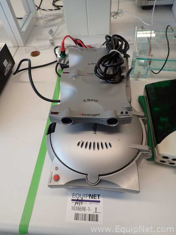 Lote de  Electroforesis Assorted 