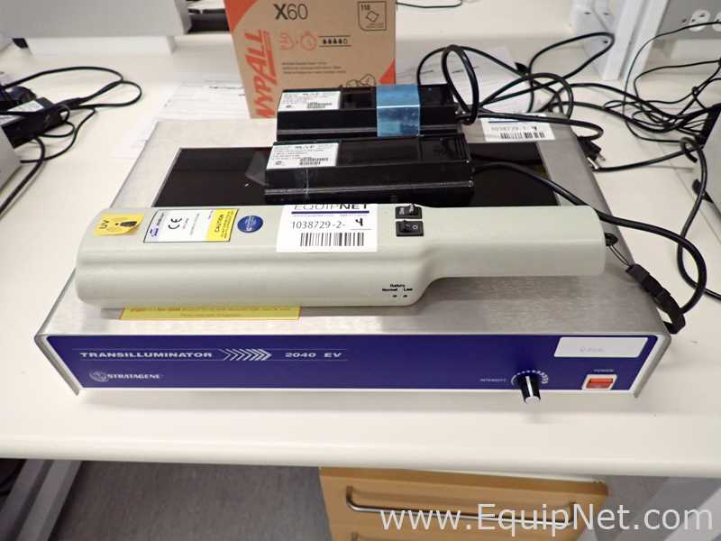lote de   Fonte de Luz-Forense Assorted 