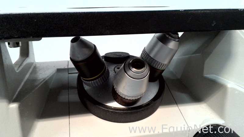 Microscópio Nikon TMS