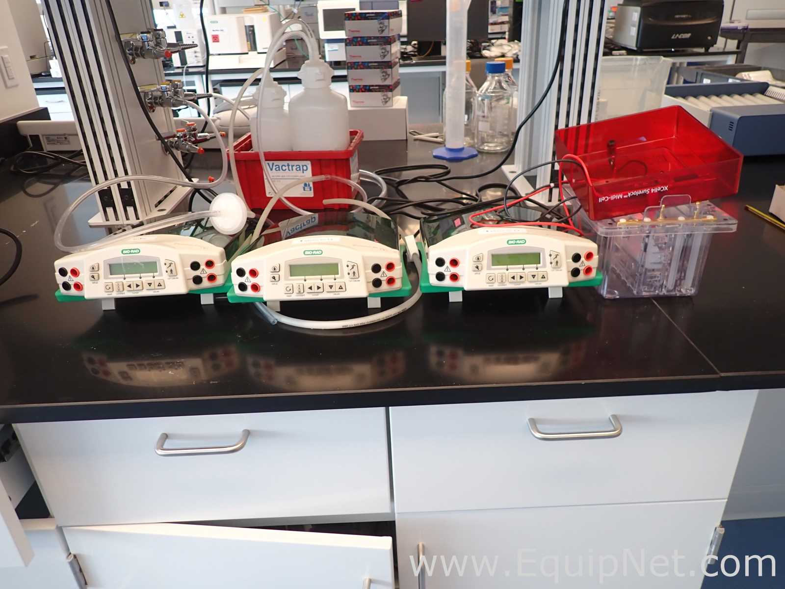 Bio-Rad PowerPac HC Electrophoresis Power Supplies with XCell SureLock Mini-Cell