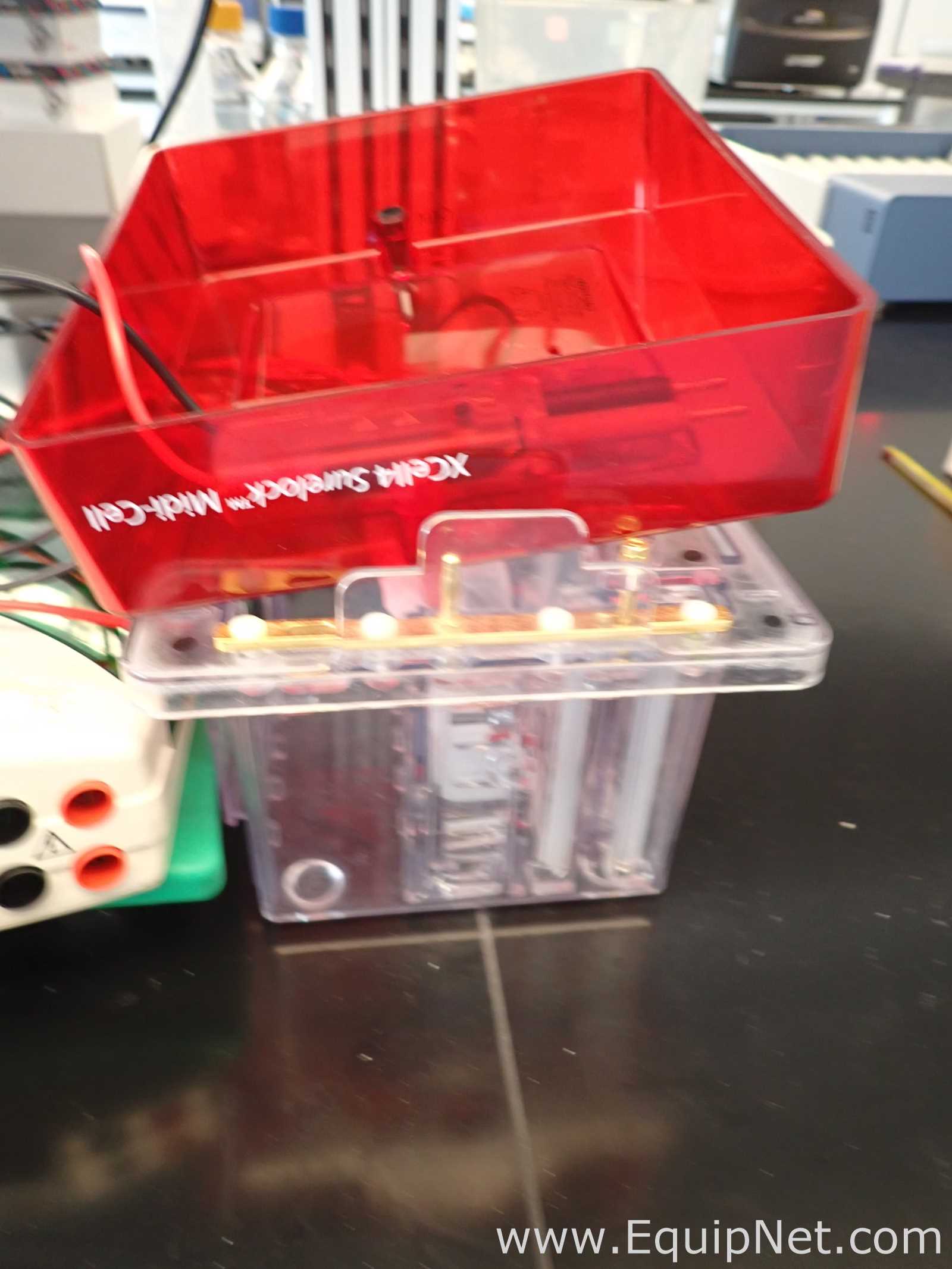 Bio-Rad PowerPac HC Electrophoresis Power Supplies with XCell SureLock Mini-Cell