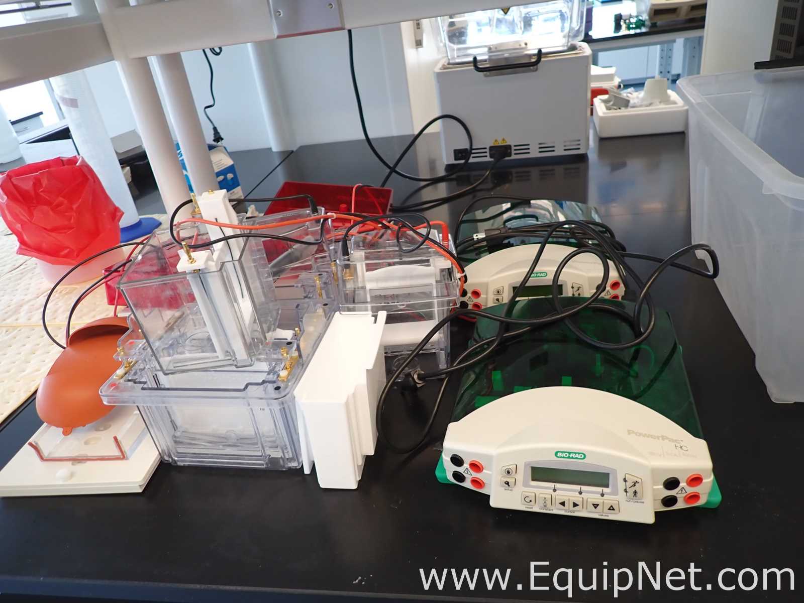 Lot of Bio-Rad PowerPac HC Power Supplies with Mini-PROTEAN Electrophoresis Cells