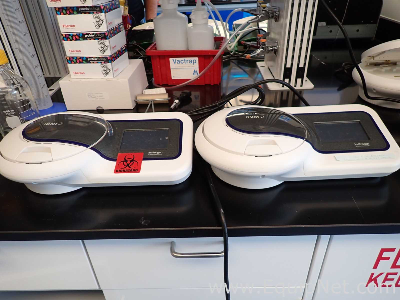 Lot of 2 Invitrogen iBlot 2 Gel Transfer Devices