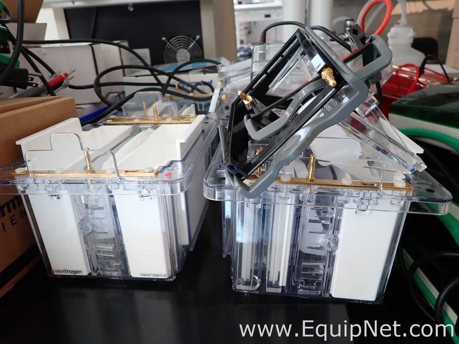 Lot of Bio-Rad PowerPac HC Electrophoresis Power Supplies with Gel Tanks