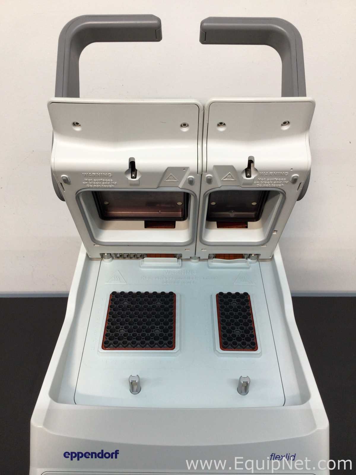 PCR e Termociclador Eppendorf Mastercycler nexus GX2