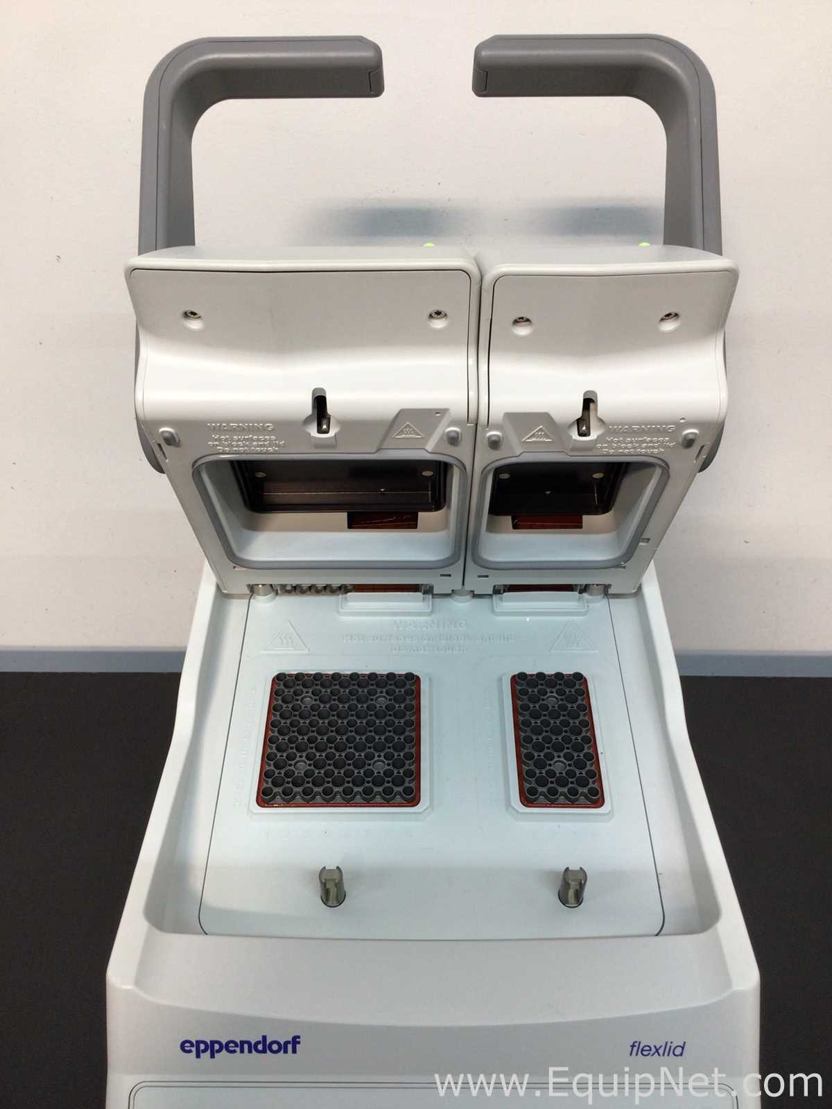 PCR e Termociclador Eppendorf Mastercycler nexus GX2