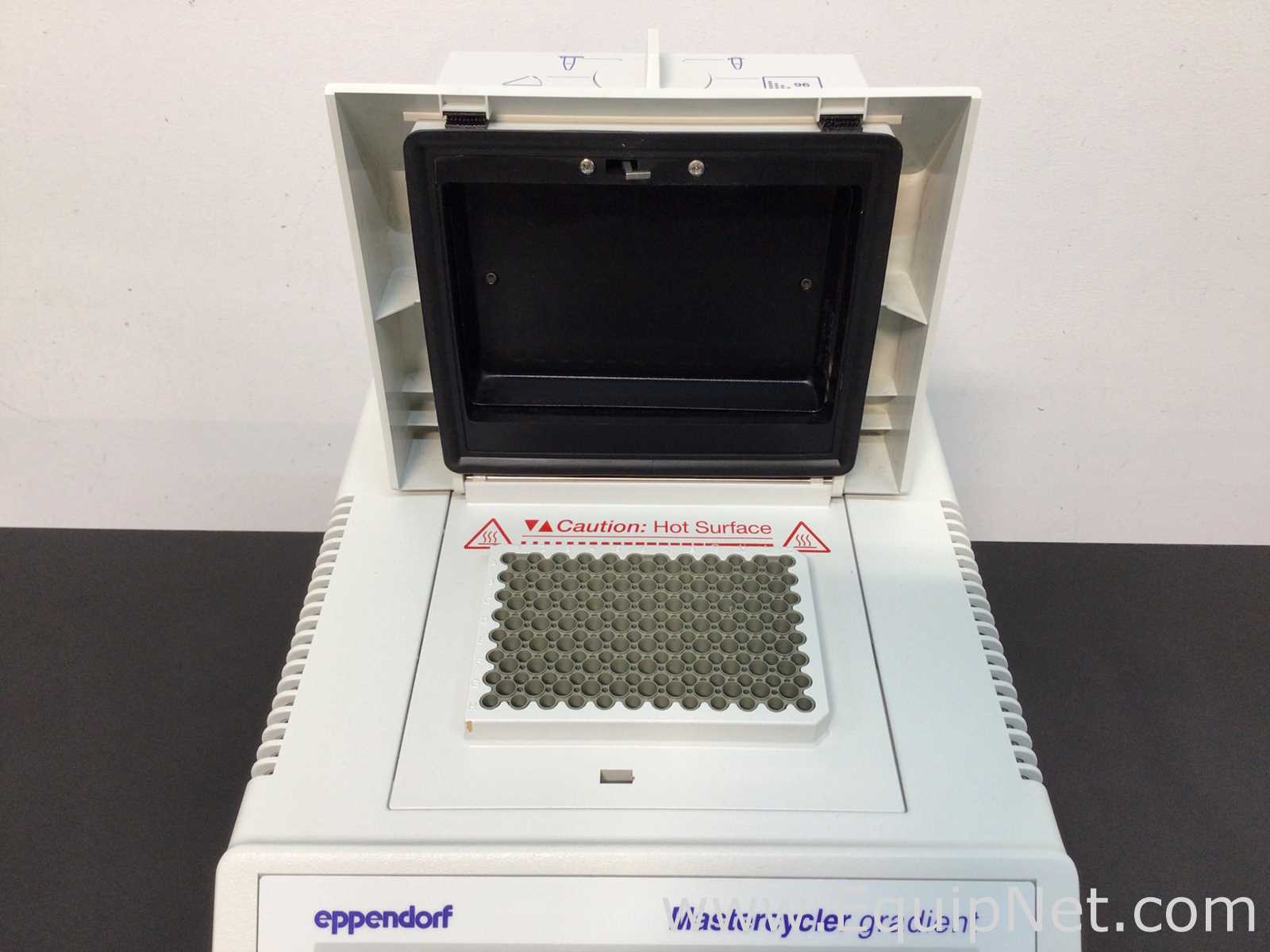 PCR y Termociclador Eppendorf 5331