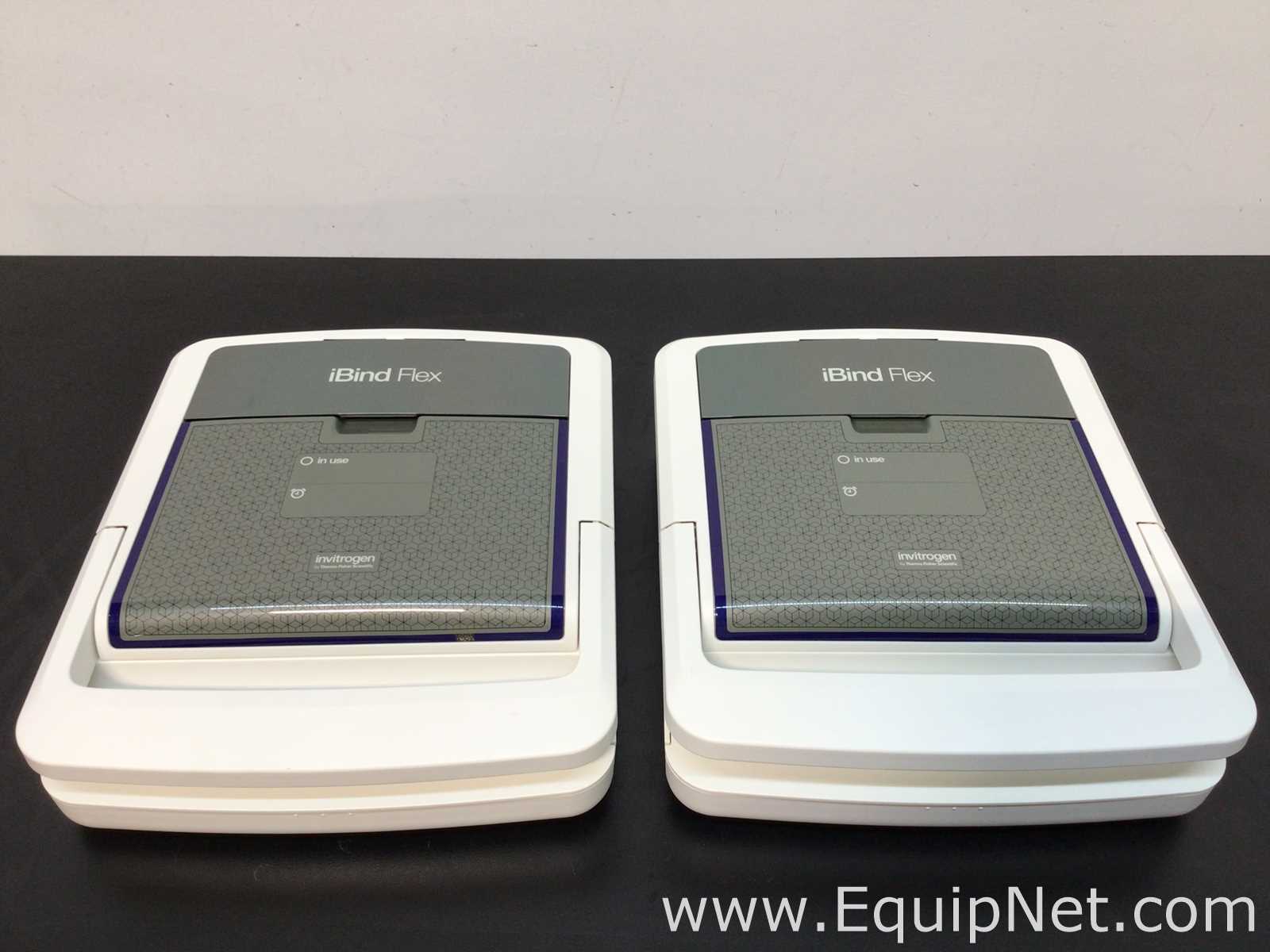 Lot Of 2 Invitrogen iBind Flex Western Devices