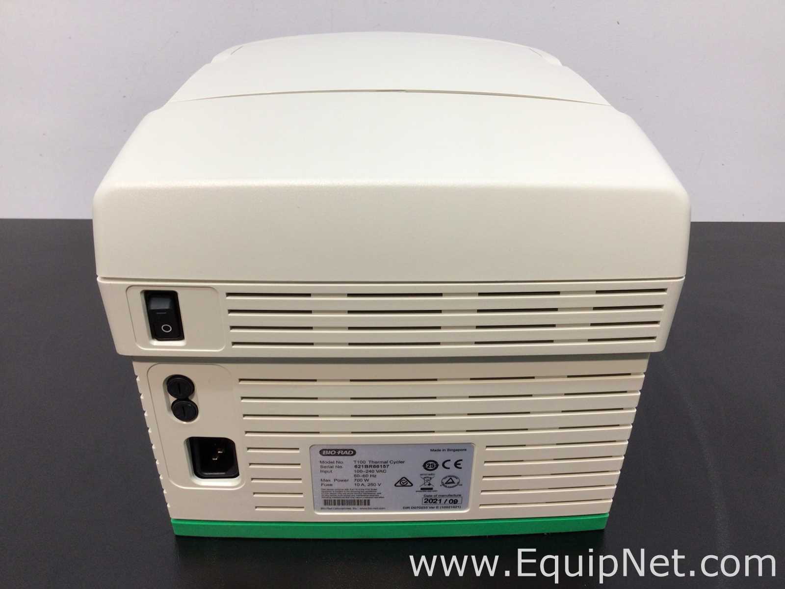 PCR e Termociclador Bio-Rad T100 Thermal Cycler