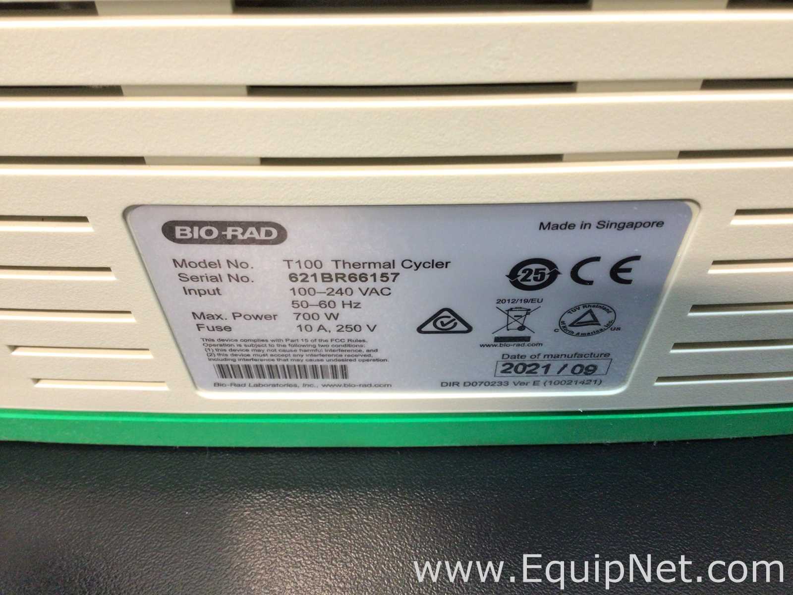 PCR e Termociclador Bio-Rad T100 Thermal Cycler