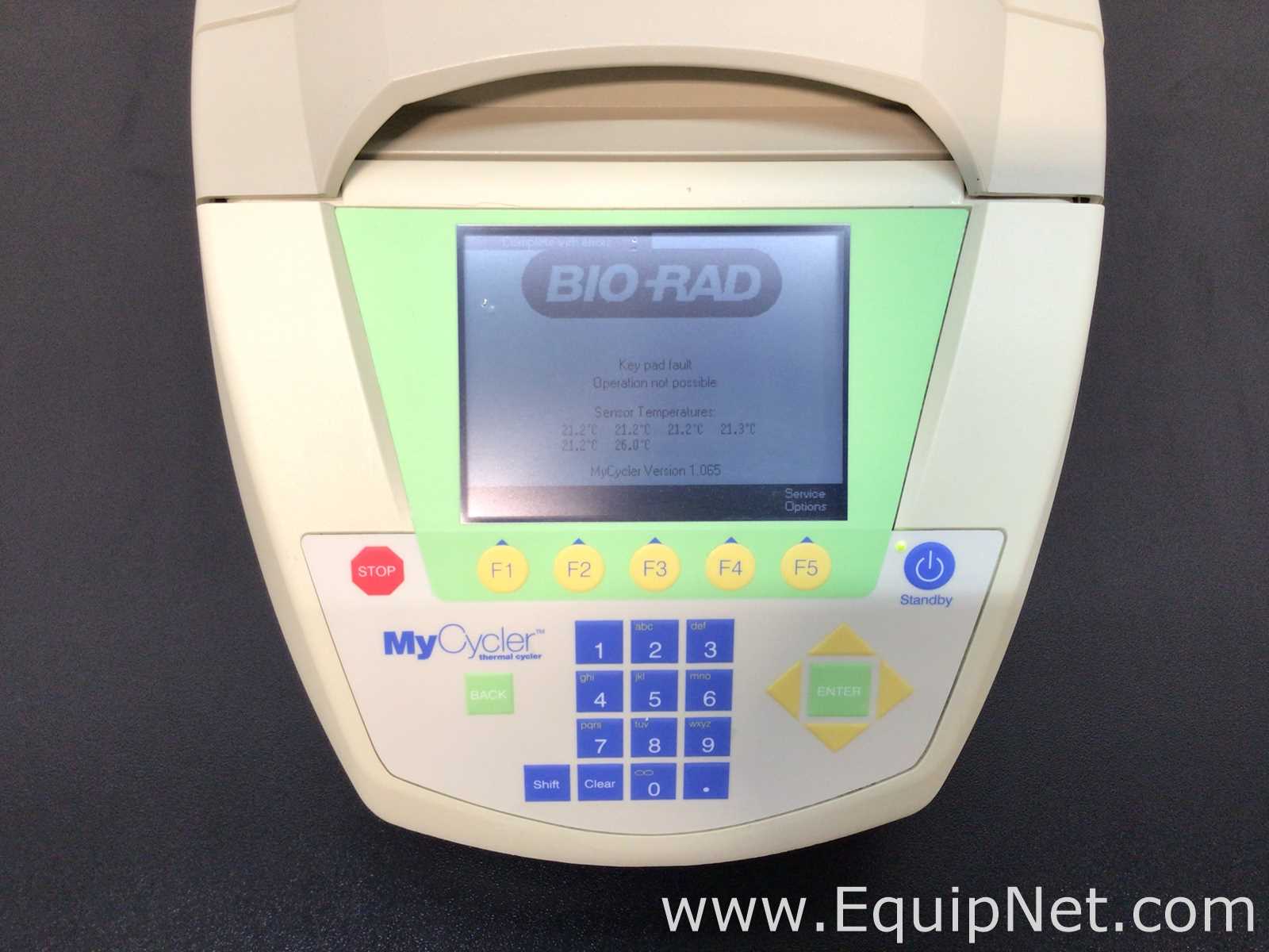 PCR e Termociclador Bio-Rad MyCycler