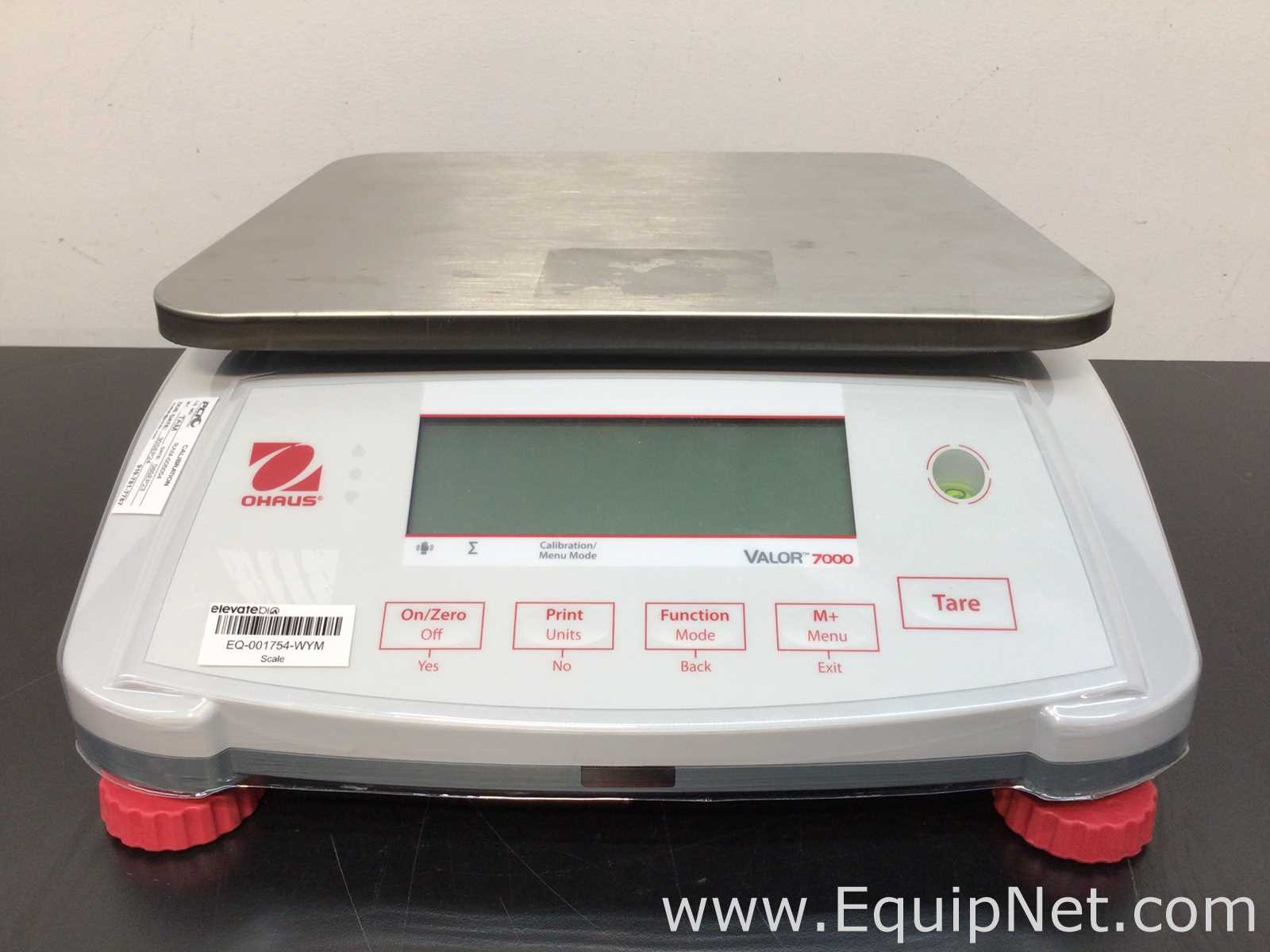 Lot of 3 Ohaus Balances