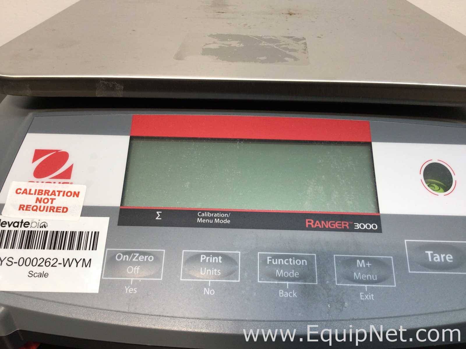 Lot of 3 Ohaus Balances